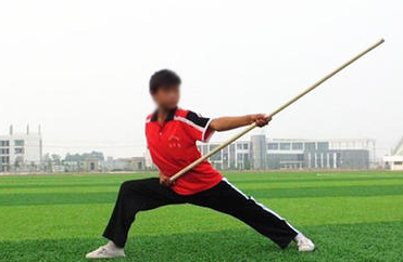 高考体育武术